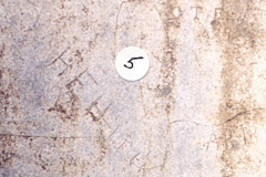 F5