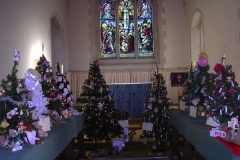Festival of Christmas Trees
